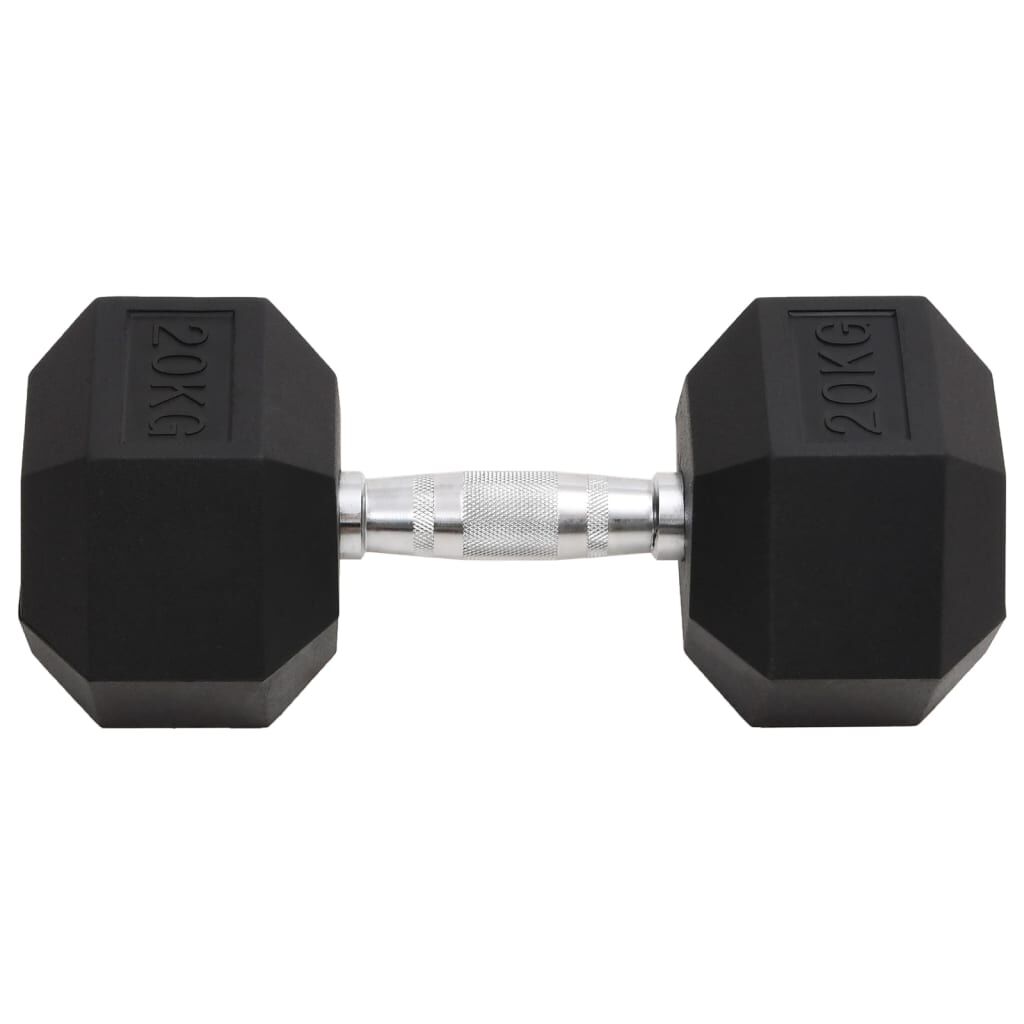 vidaXL Halters 20 kg gietijzer