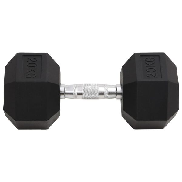 vidaXL Halters 20 kg gietijzer