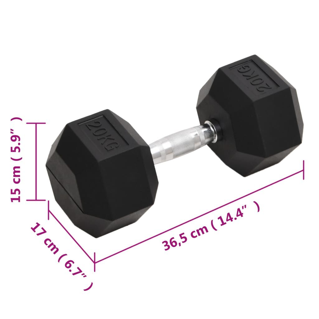 vidaXL Halters 20 kg gietijzer