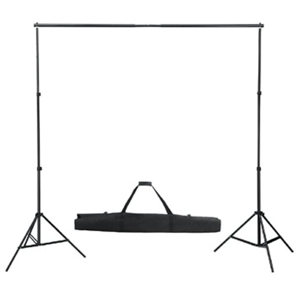 vidaXL Achtergrondsysteem 300x300 cm zwart